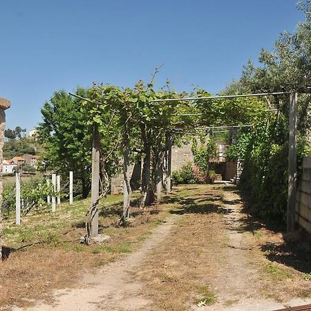 Quinta Do Vale Sanguinho Villa Seia Exterior foto